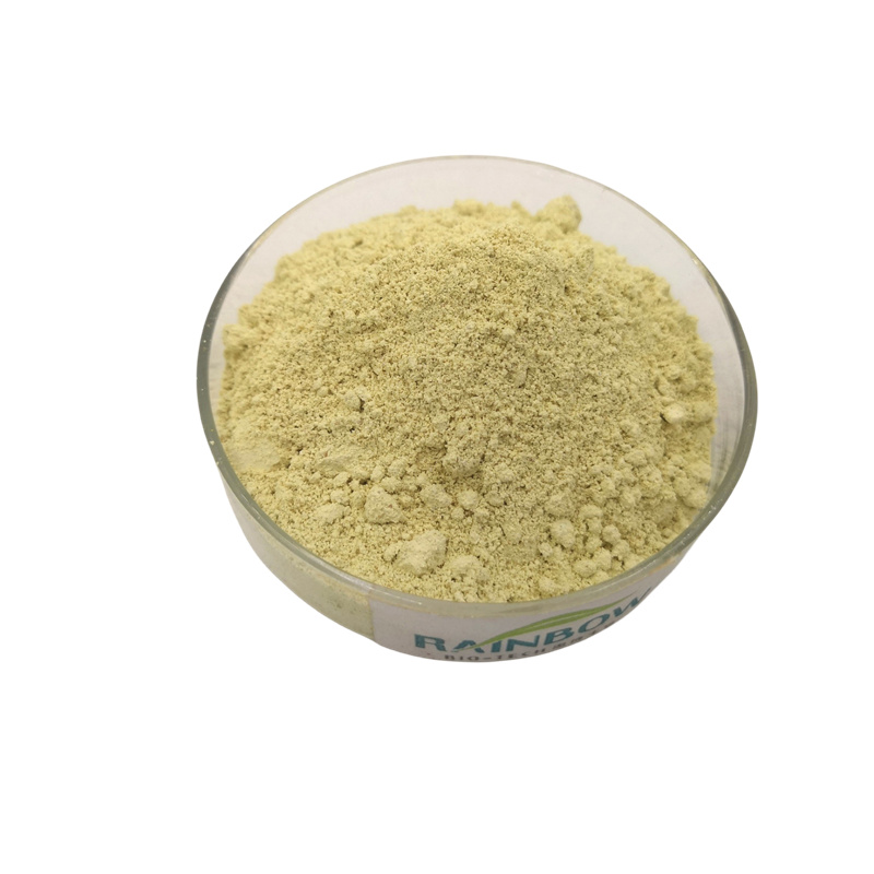 Антиоксидантна добавка Luteolin Powder02