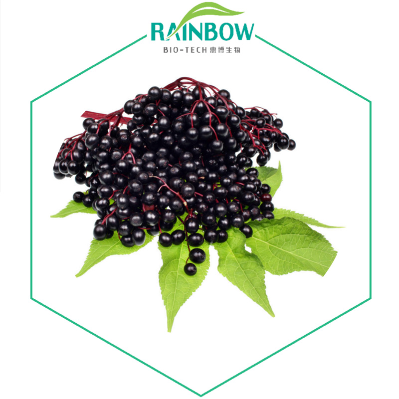 Elderberry extract02